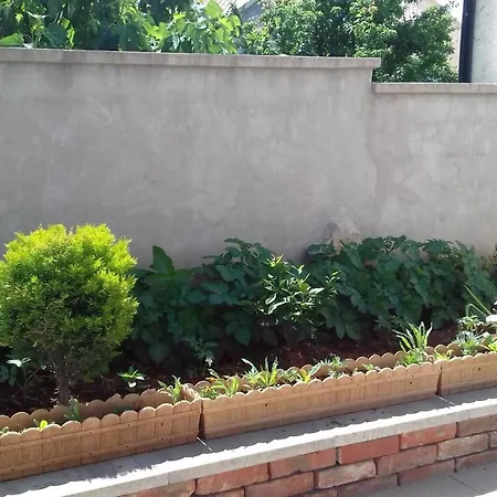 Apartment Sarah Zadar